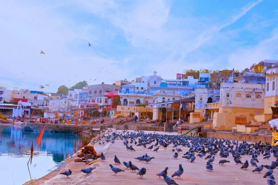 Golden triangle tour with Pushkar Jodhpur 8 Days